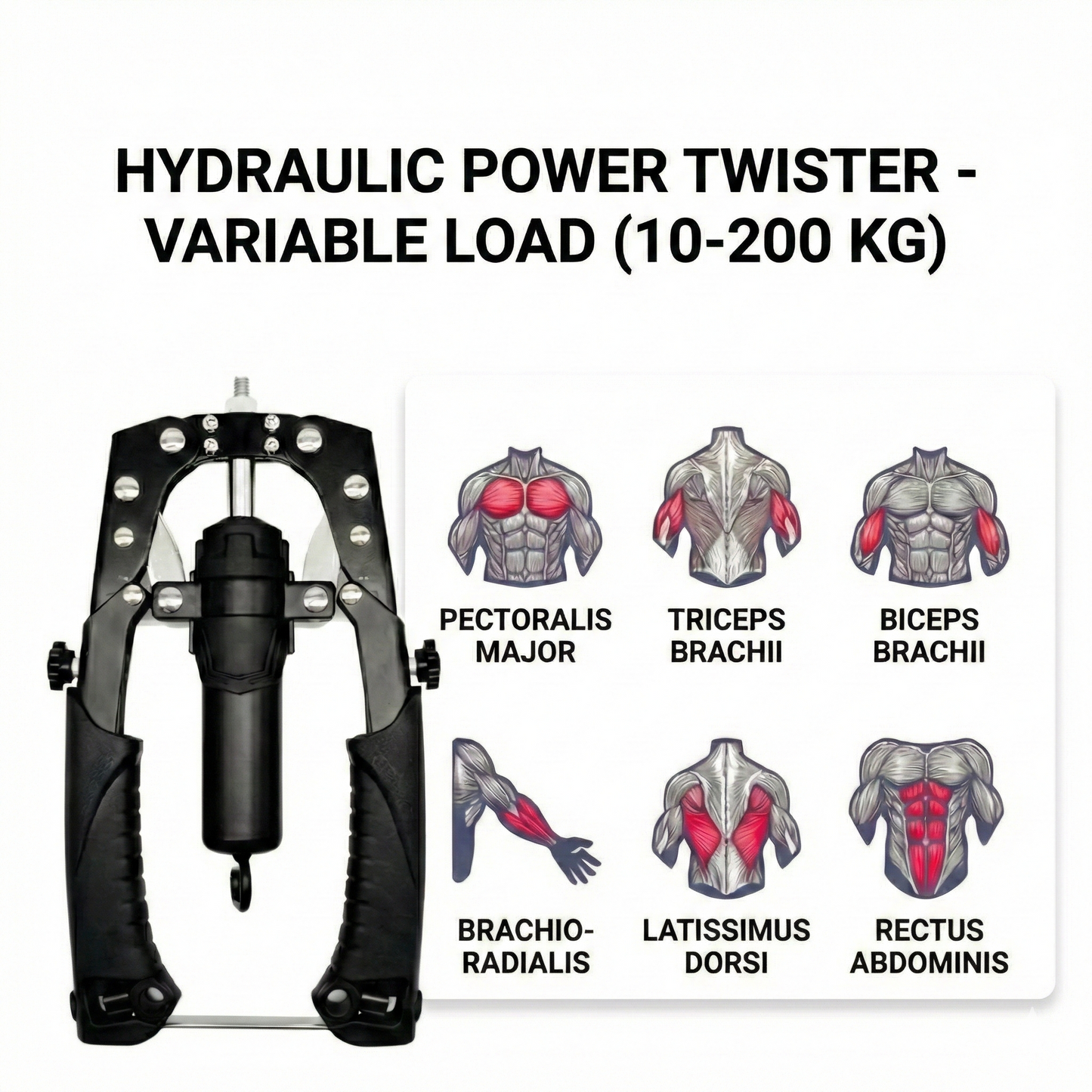 Thorax™ - Core Trainer