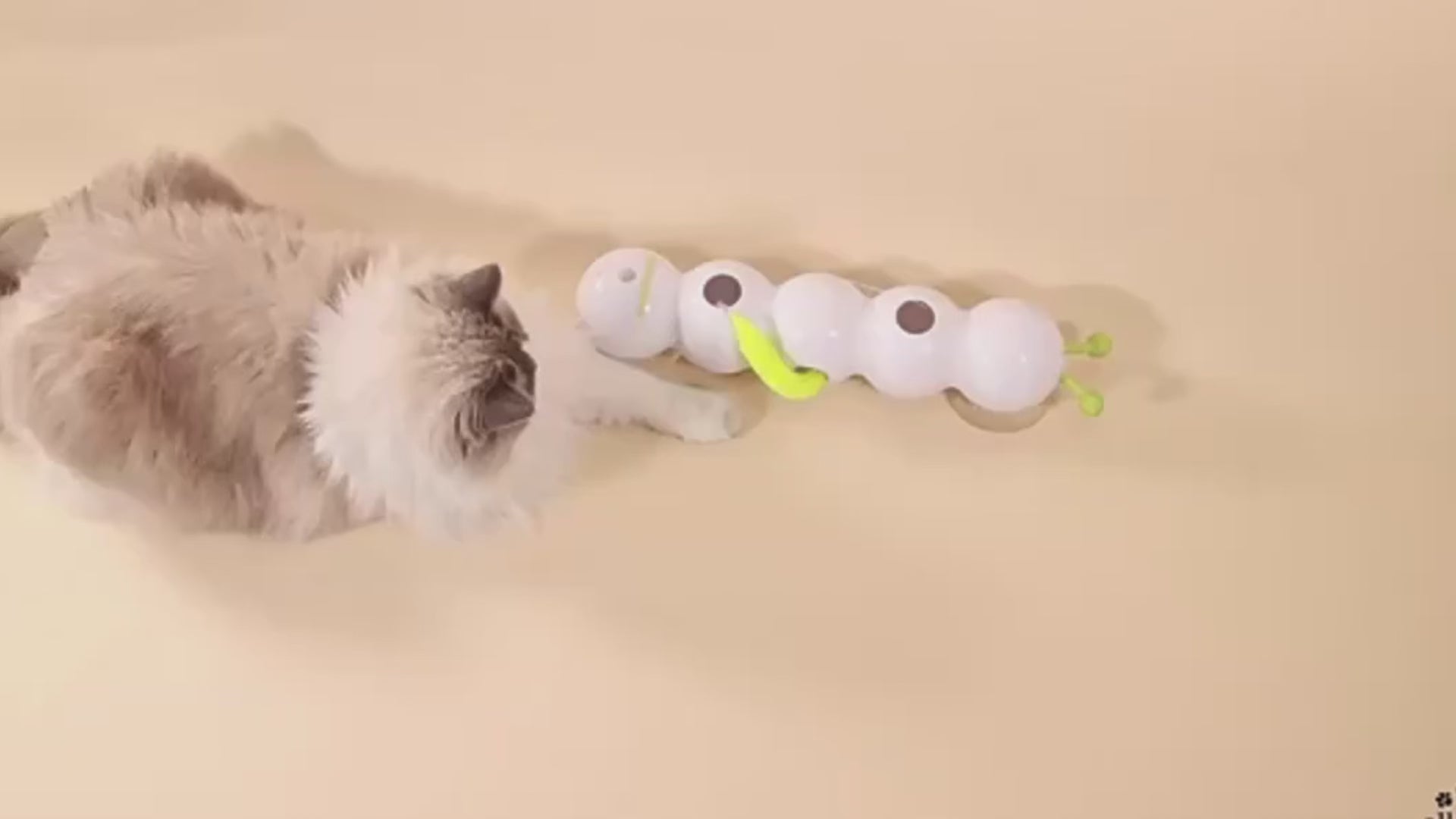 Load video: 